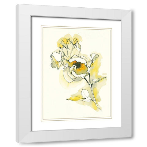 Carols Roses IV White Modern Wood Framed Art Print with Double Matting by Novak, Shirley