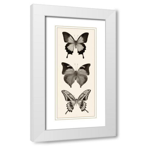 Butterfly BW Panel I White Modern Wood Framed Art Print with Double Matting by Van Swearingen, Debra