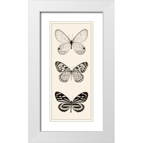 Butterfly BW Panel II White Modern Wood Framed Art Print with Double Matting by Van Swearingen, Debra