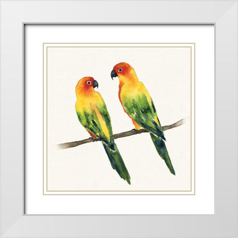 Tropical Fun Bird III White Modern Wood Framed Art Print with Double Matting by Sussman, Harriet