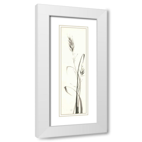 Wild Grass II White Modern Wood Framed Art Print with Double Matting by Paschke, Chris