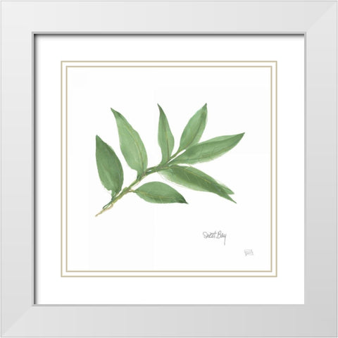 Sweet Bay v2 White Modern Wood Framed Art Print with Double Matting by Paschke, Chris