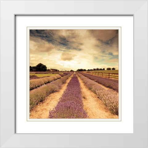 Lavender Fields Forever White Modern Wood Framed Art Print with Double Matting by Bevan, Keri