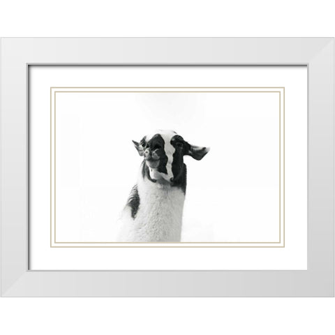 Lovable Llama I White Modern Wood Framed Art Print with Double Matting by Marshall, Laura