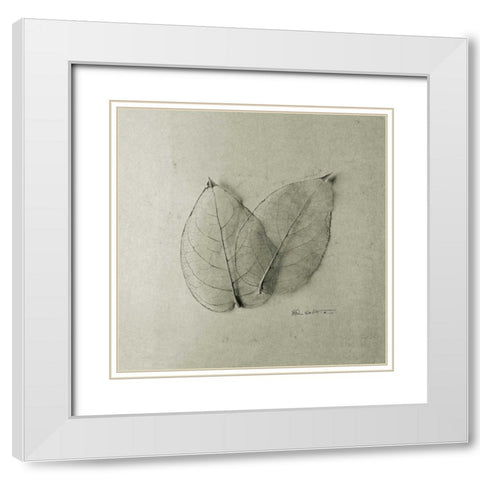 Pair of Skeleton Leaves White Modern Wood Framed Art Print with Double Matting by Goldstein, Ed