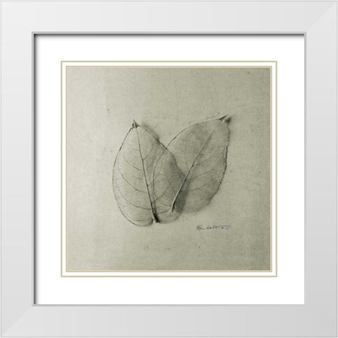 Pair of Skeleton Leaves White Modern Wood Framed Art Print with Double Matting by Goldstein, Ed