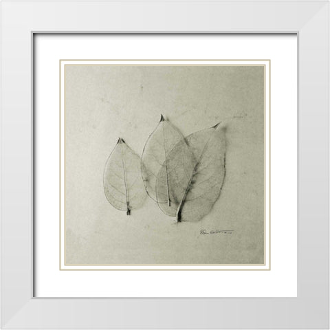 Trio of Skeleton Leaves White Modern Wood Framed Art Print with Double Matting by Goldstein, Ed