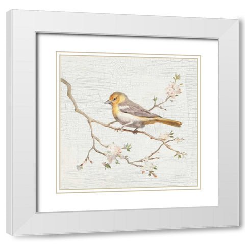 Northern Oriole Vintage White Modern Wood Framed Art Print with Double Matting by Nai, Danhui