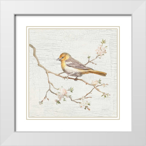 Northern Oriole Vintage White Modern Wood Framed Art Print with Double Matting by Nai, Danhui