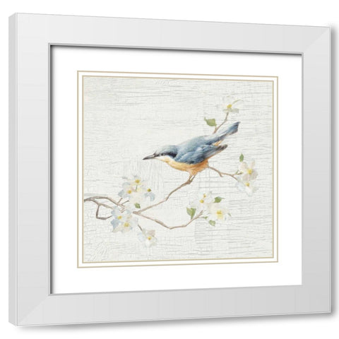 Nuthatch Vintage White Modern Wood Framed Art Print with Double Matting by Nai, Danhui