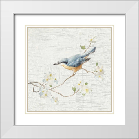 Nuthatch Vintage White Modern Wood Framed Art Print with Double Matting by Nai, Danhui
