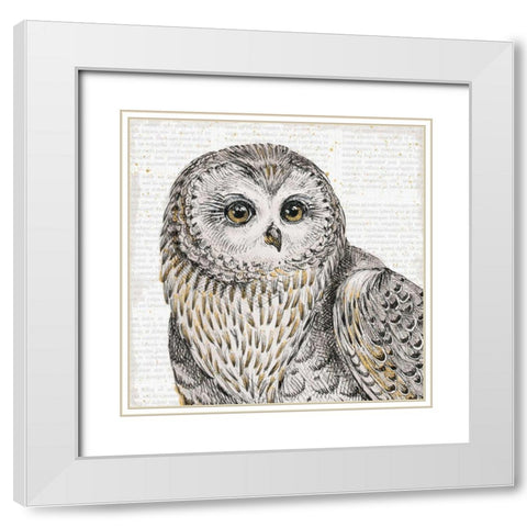 Beautiful Owls II White Modern Wood Framed Art Print with Double Matting by Brissonnet, Daphne