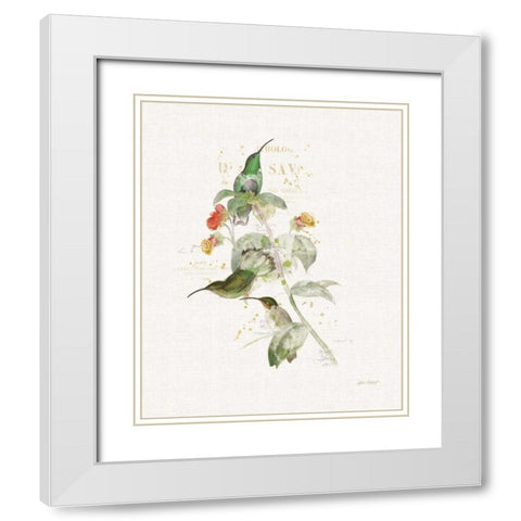 Colorful Hummingbirds III White Modern Wood Framed Art Print with Double Matting by Pertiet, Katie