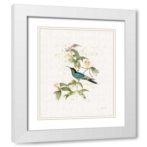 Colorful Hummingbirds IV White Modern Wood Framed Art Print with Double Matting by Pertiet, Katie