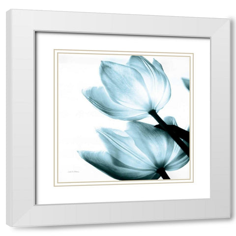 Translucent Tulips II Sq Aqua Crop White Modern Wood Framed Art Print with Double Matting by Van Swearingen, Debra