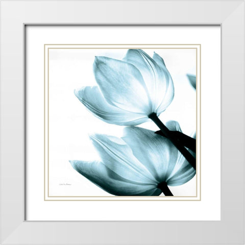 Translucent Tulips II Sq Aqua Crop White Modern Wood Framed Art Print with Double Matting by Van Swearingen, Debra
