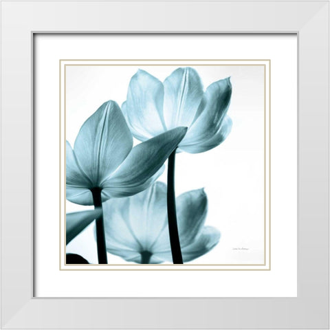 Translucent Tulips III Sq Aqua Crop White Modern Wood Framed Art Print with Double Matting by Van Swearingen, Debra
