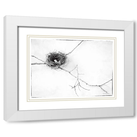 Nest and Branch I v2 White Modern Wood Framed Art Print with Double Matting by Van Swearingen, Debra