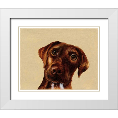 Moose White Modern Wood Framed Art Print with Double Matting by Ducklow, Patsy