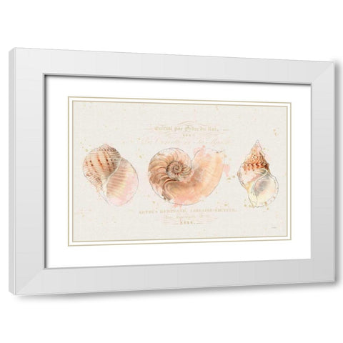 Shell Collector I White Modern Wood Framed Art Print with Double Matting by Pertiet, Katie