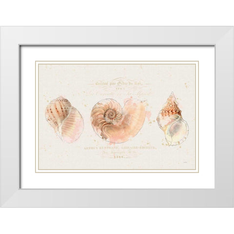 Shell Collector I White Modern Wood Framed Art Print with Double Matting by Pertiet, Katie