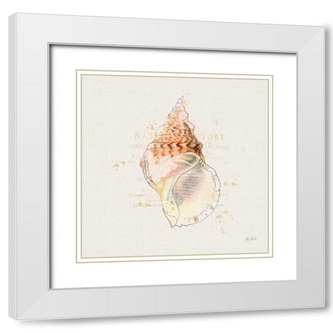Shell Collector III White Modern Wood Framed Art Print with Double Matting by Pertiet, Katie