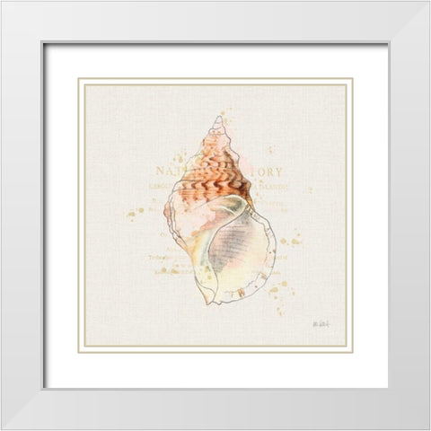 Shell Collector III White Modern Wood Framed Art Print with Double Matting by Pertiet, Katie