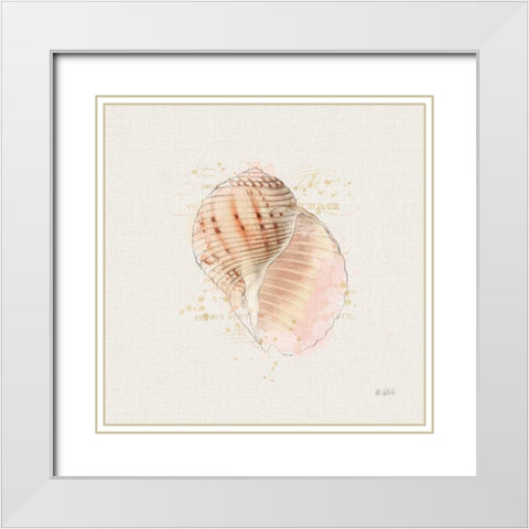 Shell Collector V White Modern Wood Framed Art Print with Double Matting by Pertiet, Katie