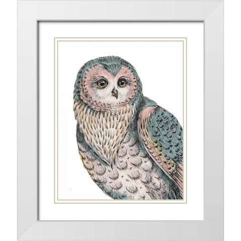 Beautiful Owls IV Pastel White Modern Wood Framed Art Print with Double Matting by Brissonnet, Daphne