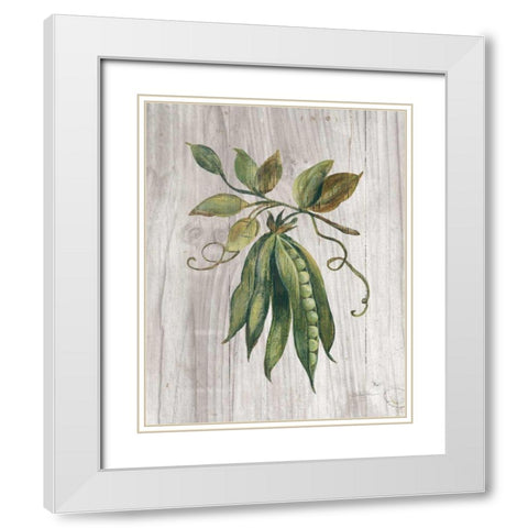 Market Vegetables II White Modern Wood Framed Art Print with Double Matting by Vassileva, Silvia