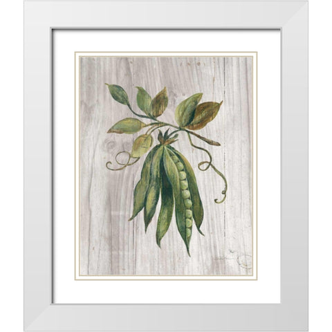 Market Vegetables II White Modern Wood Framed Art Print with Double Matting by Vassileva, Silvia