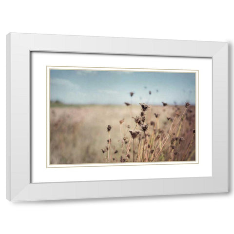 Falling Queen Annes Lace I Crop White Modern Wood Framed Art Print with Double Matting by Urquhart, Elizabeth