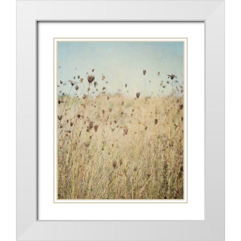 Falling Queen Annes Lace II Crop White Modern Wood Framed Art Print with Double Matting by Urquhart, Elizabeth