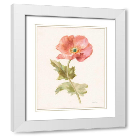 Garden Poppy White Modern Wood Framed Art Print with Double Matting by Nai, Danhui