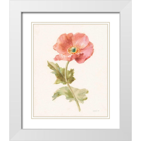 Garden Poppy White Modern Wood Framed Art Print with Double Matting by Nai, Danhui