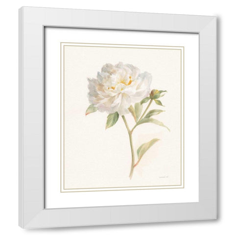 Garden Peony White Modern Wood Framed Art Print with Double Matting by Nai, Danhui