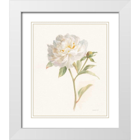 Garden Peony White Modern Wood Framed Art Print with Double Matting by Nai, Danhui