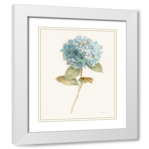 Garden Hydrangea White Modern Wood Framed Art Print with Double Matting by Nai, Danhui