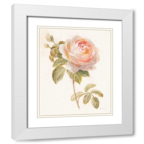 Garden Rose White Modern Wood Framed Art Print with Double Matting by Nai, Danhui