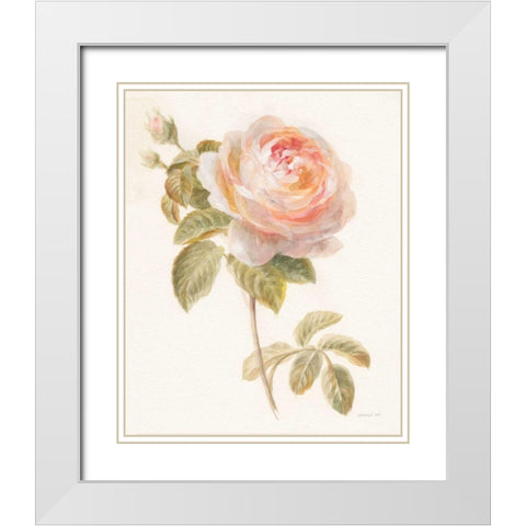 Garden Rose White Modern Wood Framed Art Print with Double Matting by Nai, Danhui