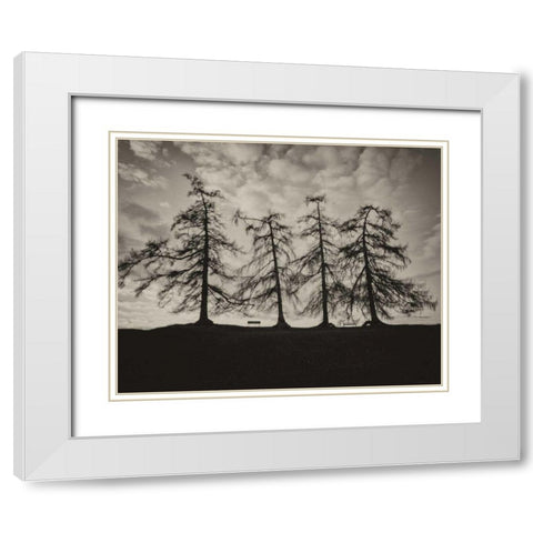 Park Trees White Modern Wood Framed Art Print with Double Matting by Bevan, Keri