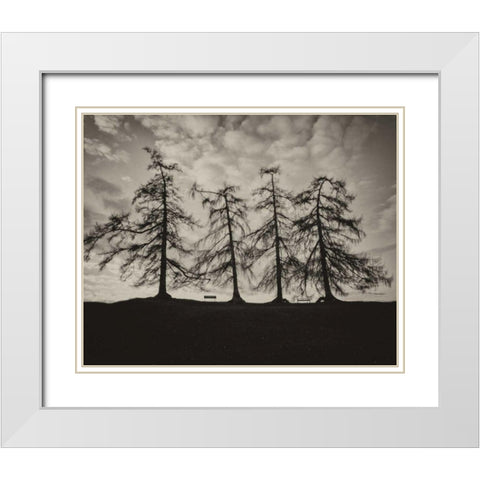 Park Trees White Modern Wood Framed Art Print with Double Matting by Bevan, Keri