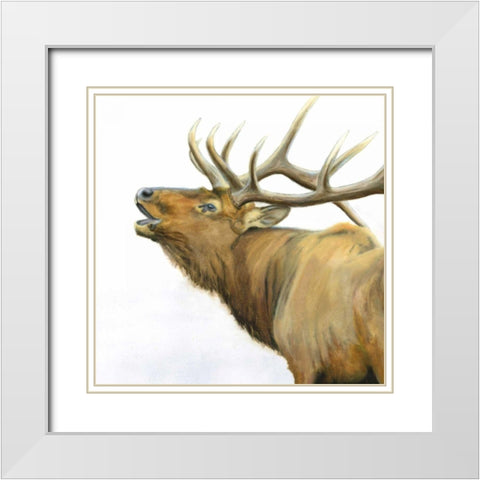 Majestic Elk Brown Crop White Modern Wood Framed Art Print with Double Matting by Wiens, James