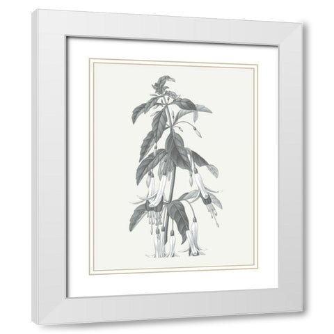 Neutral Botanical I White Modern Wood Framed Art Print with Double Matting by Wild Apple Portfolio