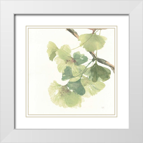 Gingko Leaves II on White White Modern Wood Framed Art Print with Double Matting by Paschke, Chris