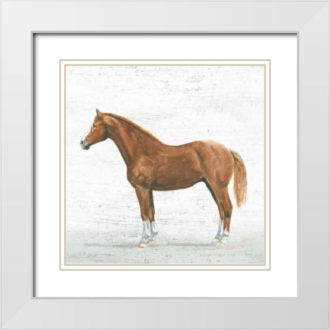 Natural Charm II Sq on Wood White Modern Wood Framed Art Print with Double Matting by Adams, Emily