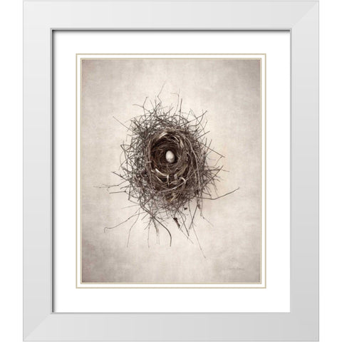 Nest I White Modern Wood Framed Art Print with Double Matting by Van Swearingen, Debra
