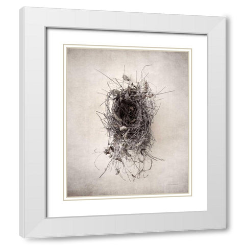 Nest II White Modern Wood Framed Art Print with Double Matting by Van Swearingen, Debra