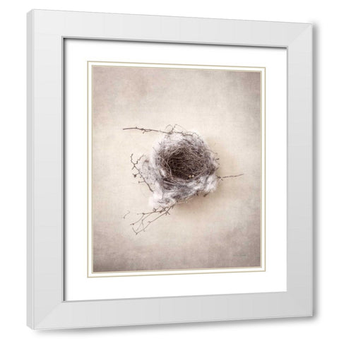 Nest III White Modern Wood Framed Art Print with Double Matting by Van Swearingen, Debra