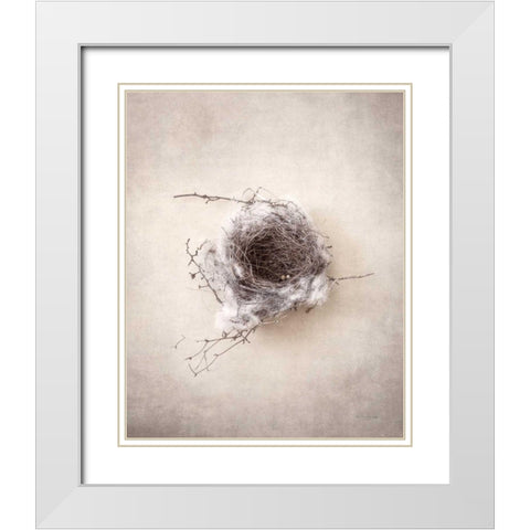 Nest III White Modern Wood Framed Art Print with Double Matting by Van Swearingen, Debra